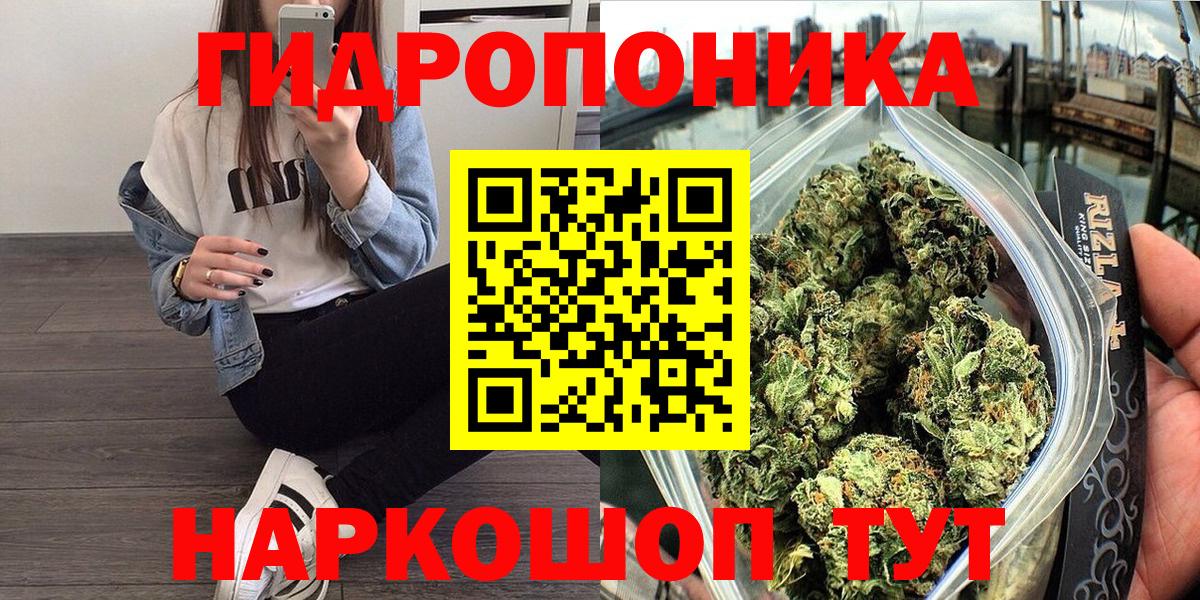 Шишки марихуана THC 21%  МАРИХУАНА план  Вход с VPN  Мурманск  Бошки Шишки Bruce Banner 