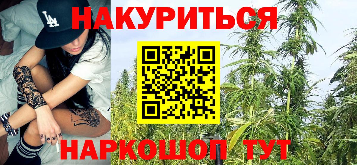 Каннабис план Мурманск
